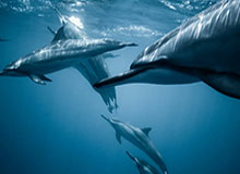 爱游戏入口-皇马攻坚战遇阻连胜止步 两个边后卫都该背锅？